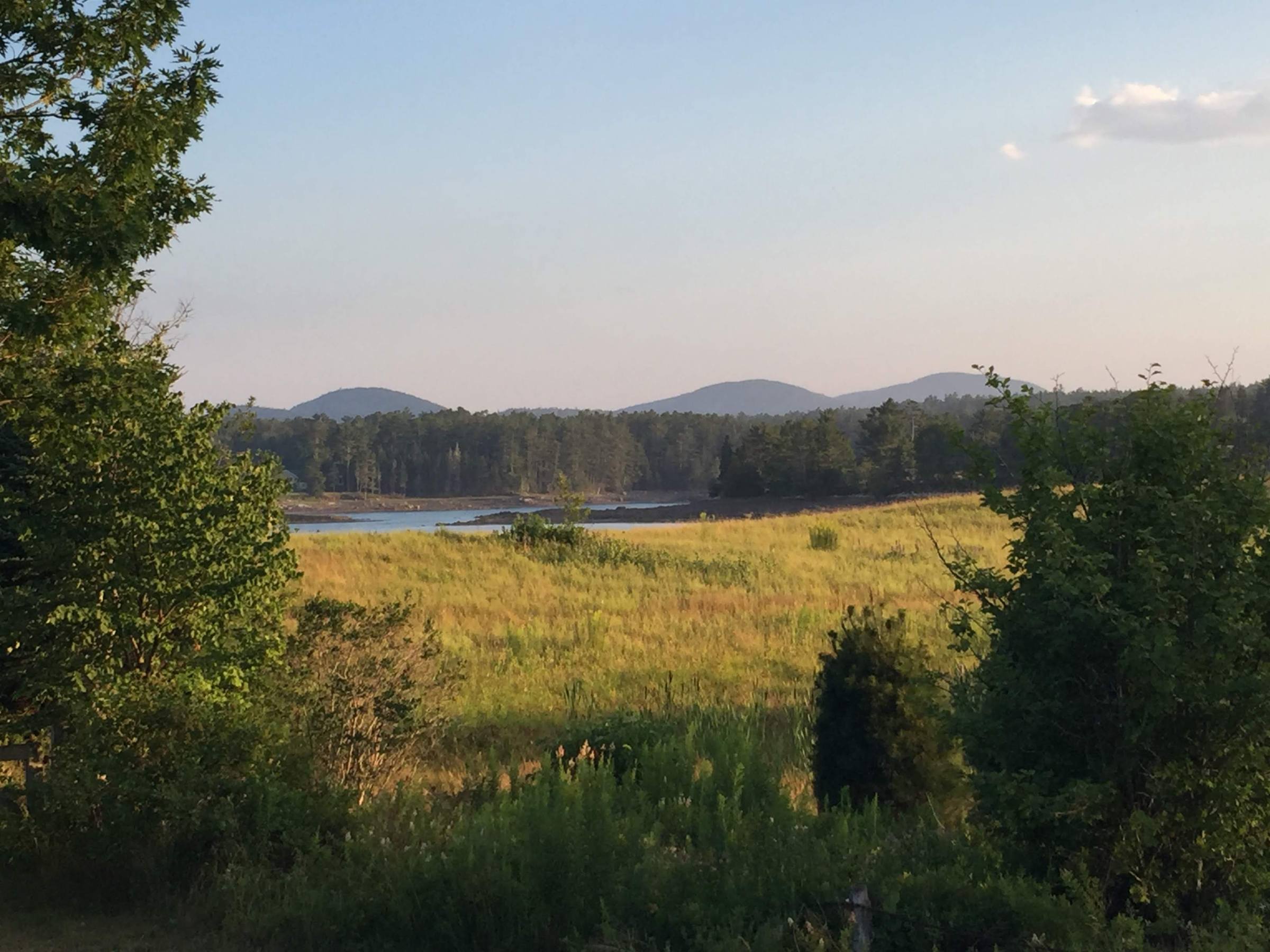 a large green field with trees in the background