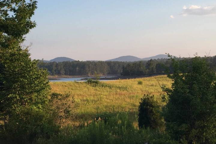 a large green field with trees in the background