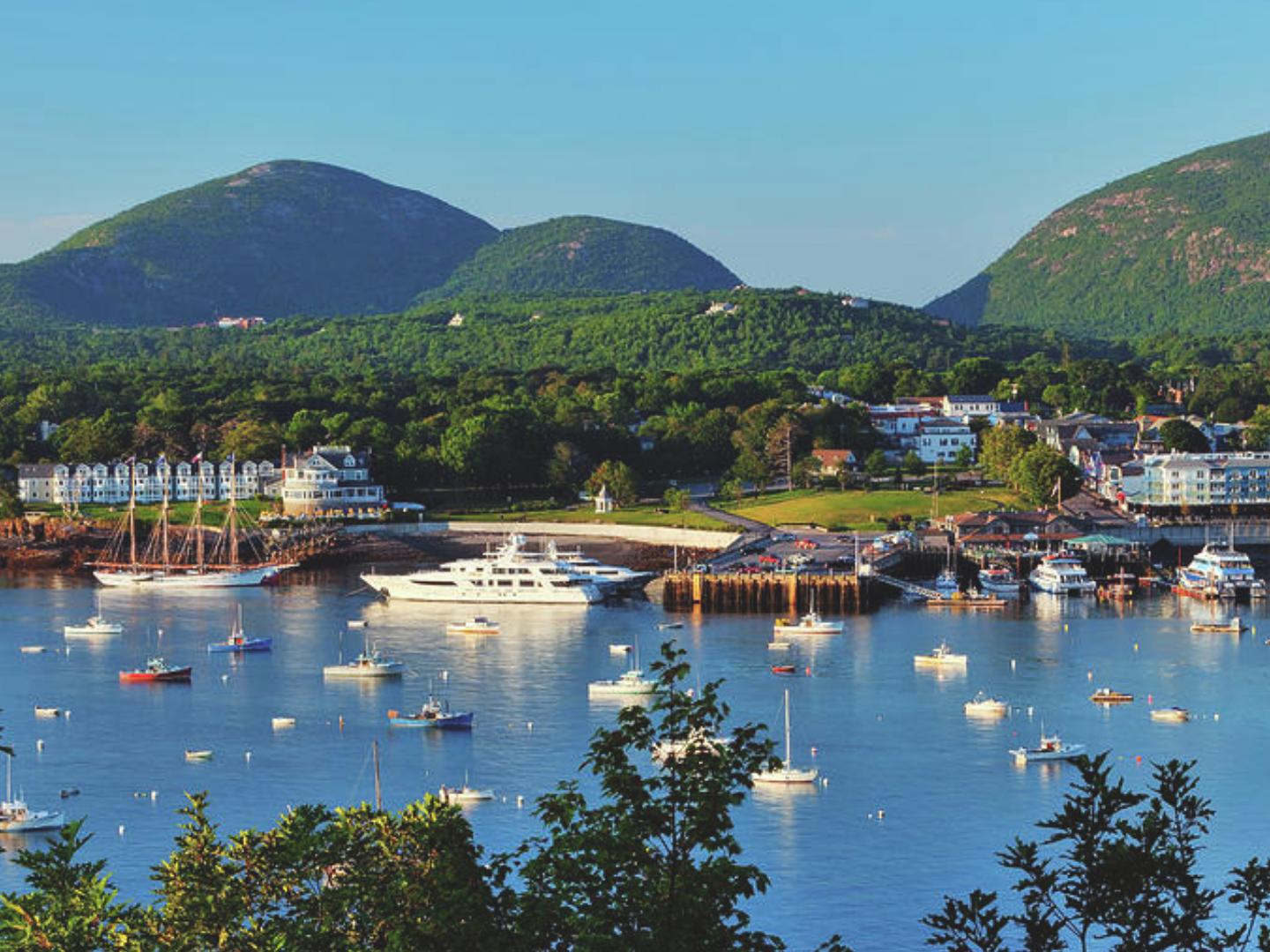 many small boats in a body of water