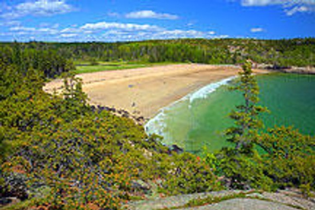 a large body of water surrounded by trees