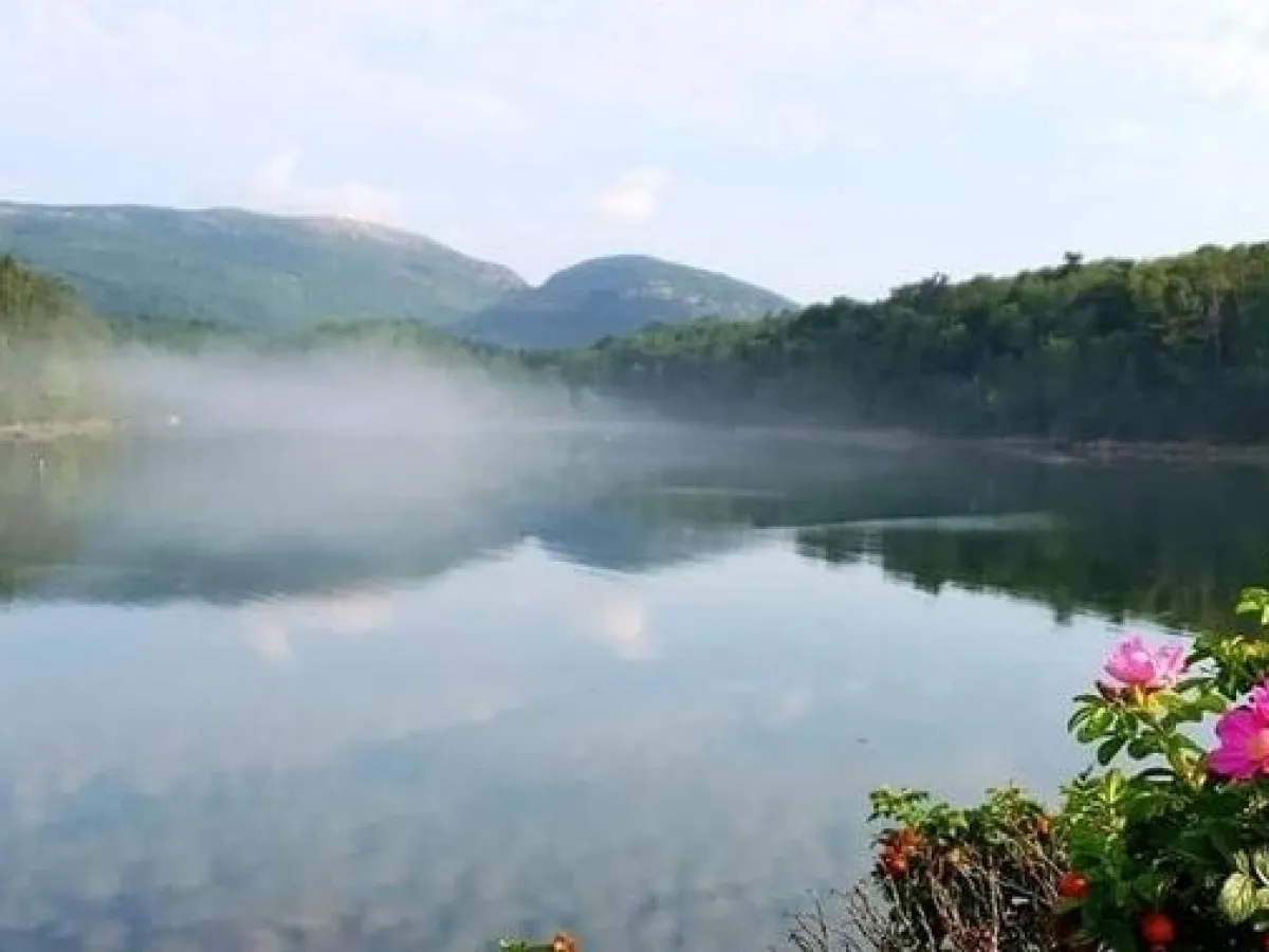 a body of water surrounded by trees