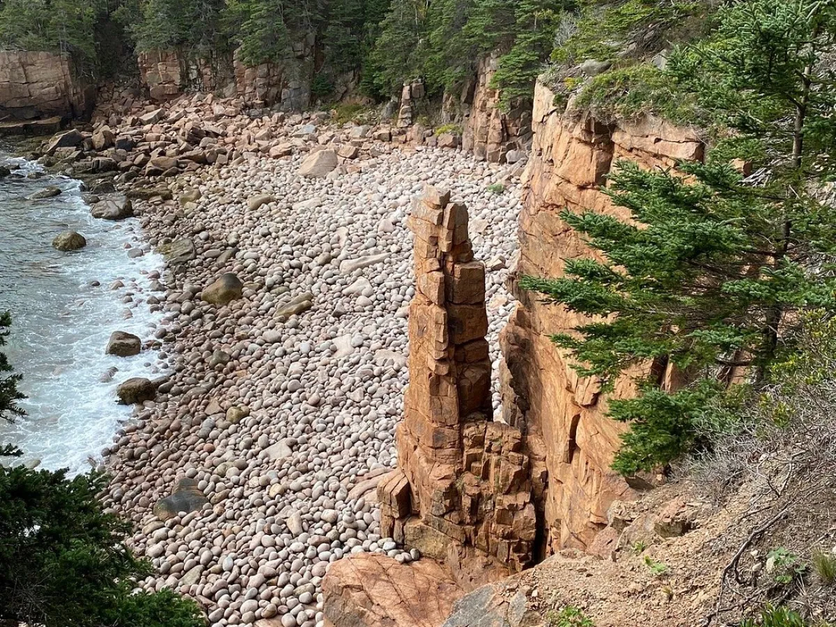 a close up of a rock next to a tree