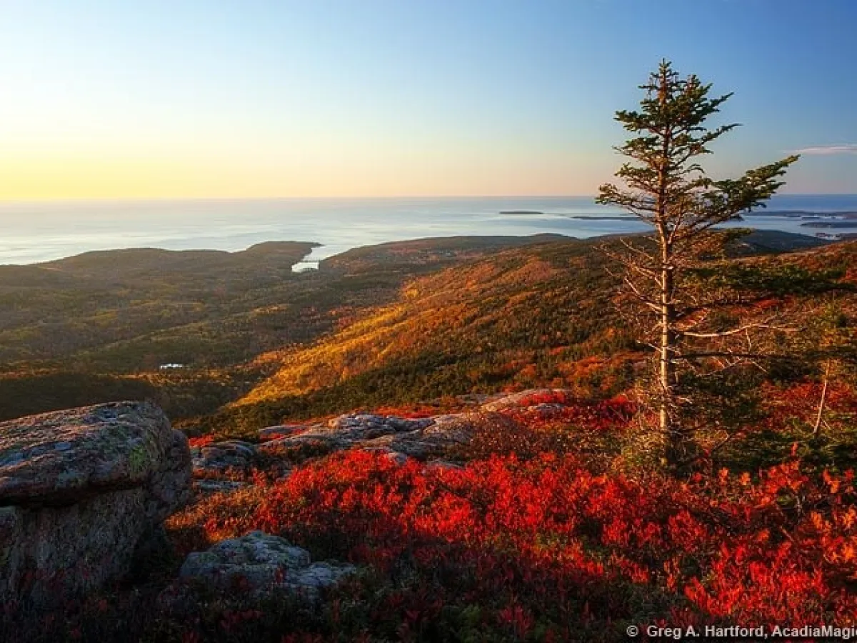 a close up of a hillside next to a body of water