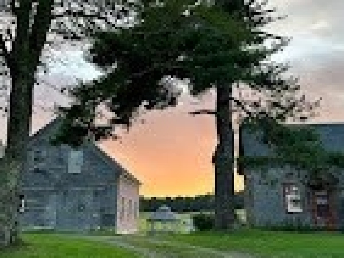 a tree in front of a house