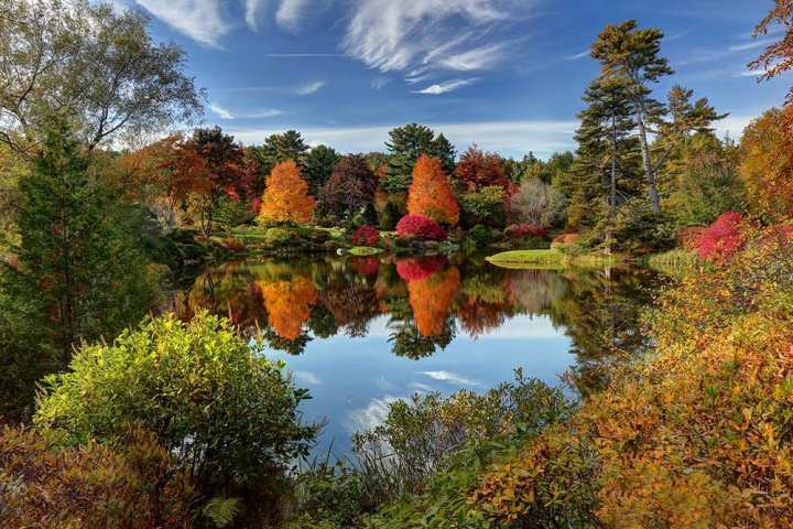 a view of a lake surrounded by forest