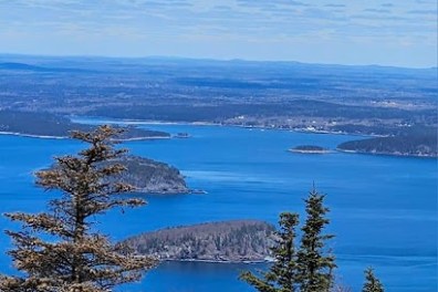 Scenic view of ocean and islands from a rocky hilltop with evergreen trees.